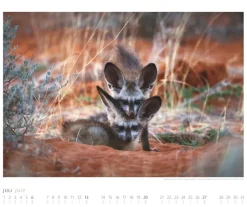 Weingarten African Wildlife Kalender 2025