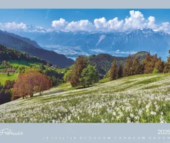Weingarten Alpen Im Licht Kalender 2025
