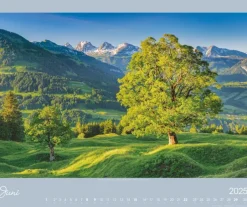 Weingarten Alpen Im Licht Kalender 2025