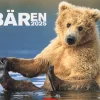 Weingarten Baren Kalender 2025