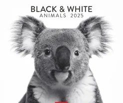 Weingarten Black & White Animals 2025