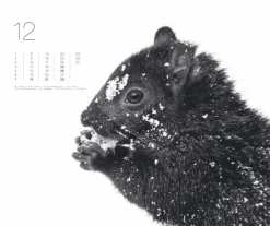Weingarten Black & White Animals 2025