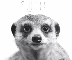 Weingarten Black & White Animals 2025