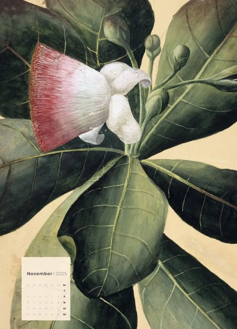 Weingarten Botanicals Kalender 2025