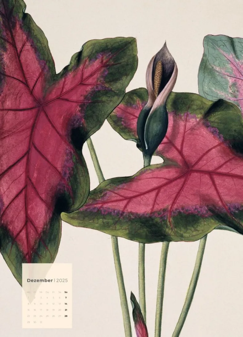 Weingarten Botanicals Kalender 2025