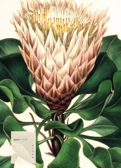 Weingarten Botanicals Kalender 2025
