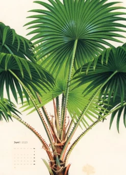 Weingarten Botanicals Kalender 2025