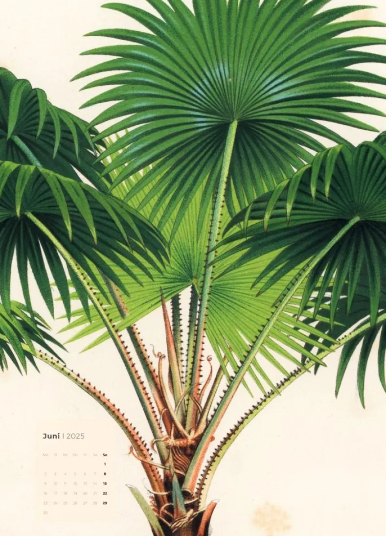 Weingarten Botanicals Kalender 2025