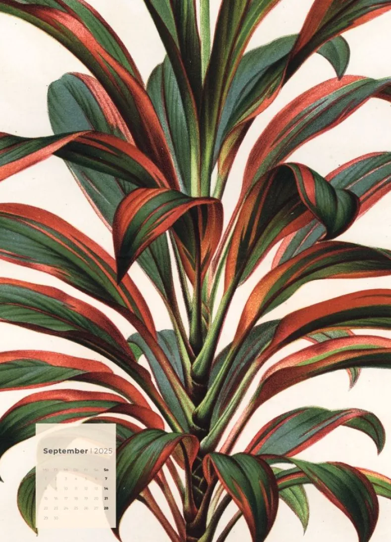 Weingarten Botanicals Kalender 2025