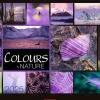 Weingarten Colours Of Nature Kalender 2025