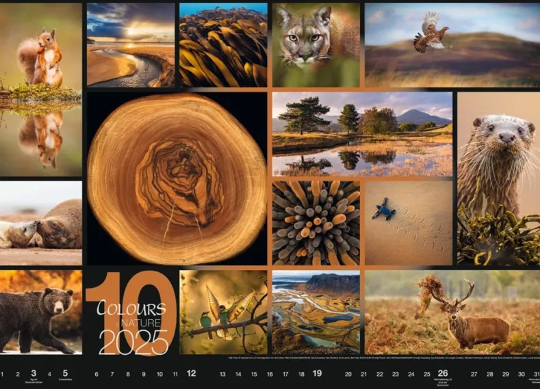 Weingarten Colours Of Nature Kalender 2025