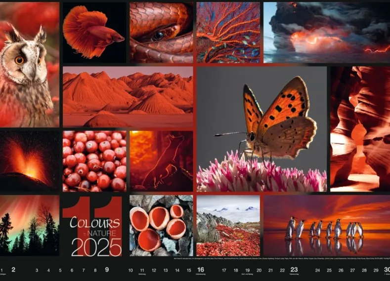 Weingarten Colours Of Nature Kalender 2025