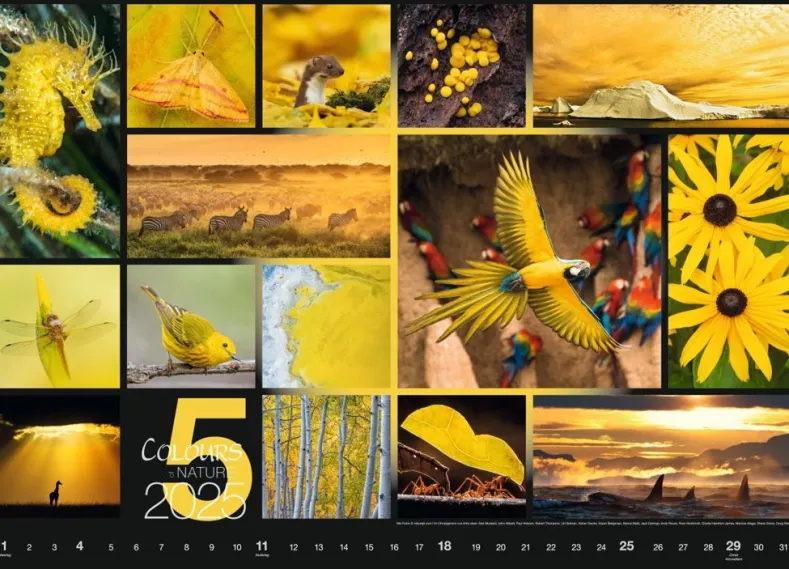 Weingarten Colours Of Nature Kalender 2025