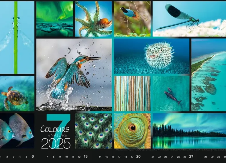 Weingarten Colours Of Nature Kalender 2025