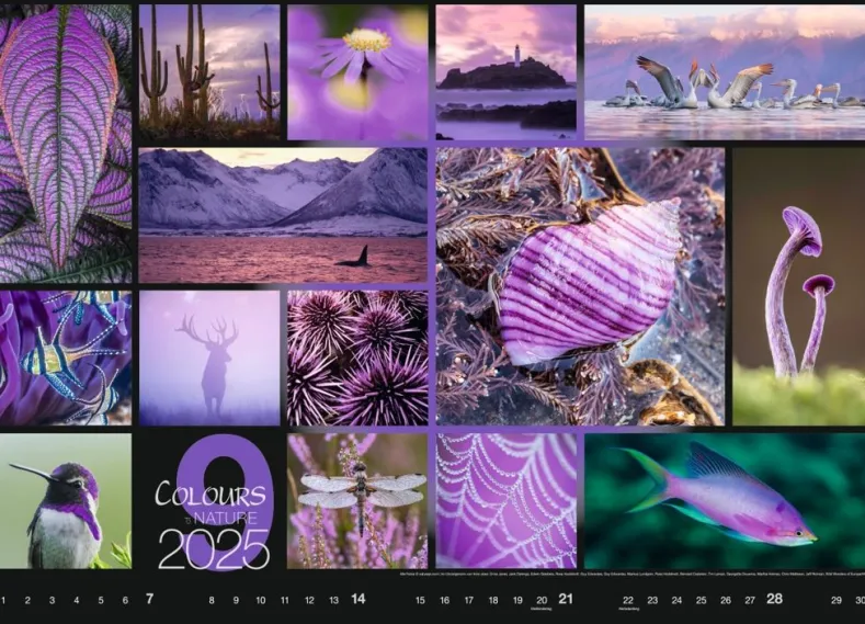 Weingarten Colours Of Nature Kalender 2025