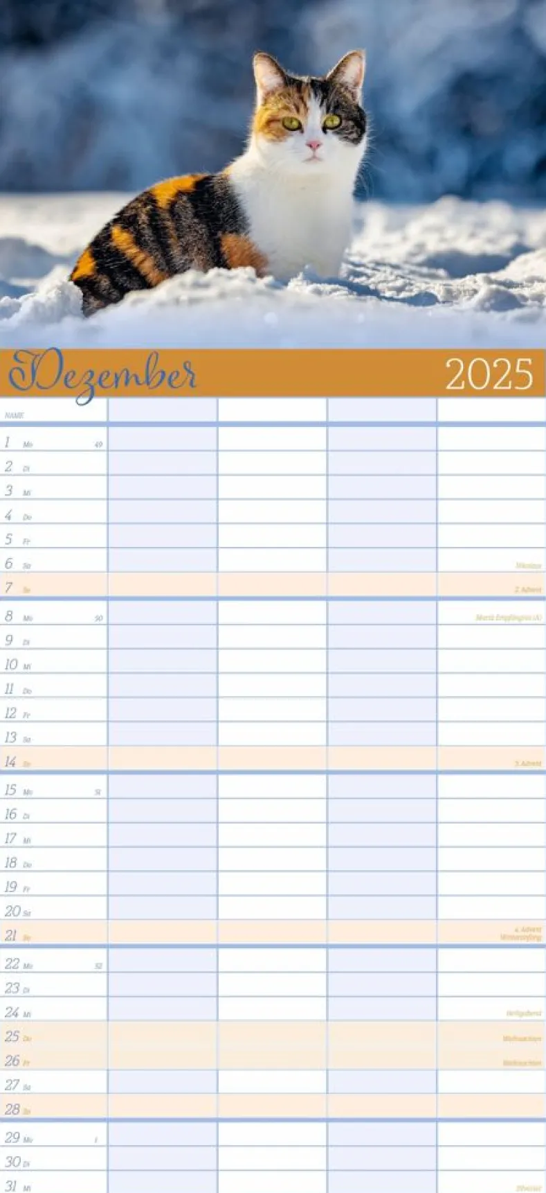 Weingarten Cool Cats Familienplaner 2025
