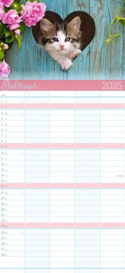 Weingarten Cool Cats Familienplaner 2025