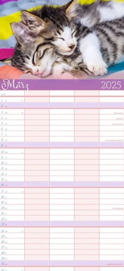 Weingarten Cool Cats Familienplaner 2025