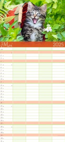 Weingarten Cool Cats Familienplaner 2025