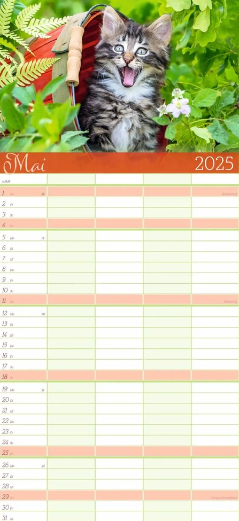 Weingarten Cool Cats Familienplaner 2025