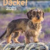 Weingarten Dackel Kalender 2025