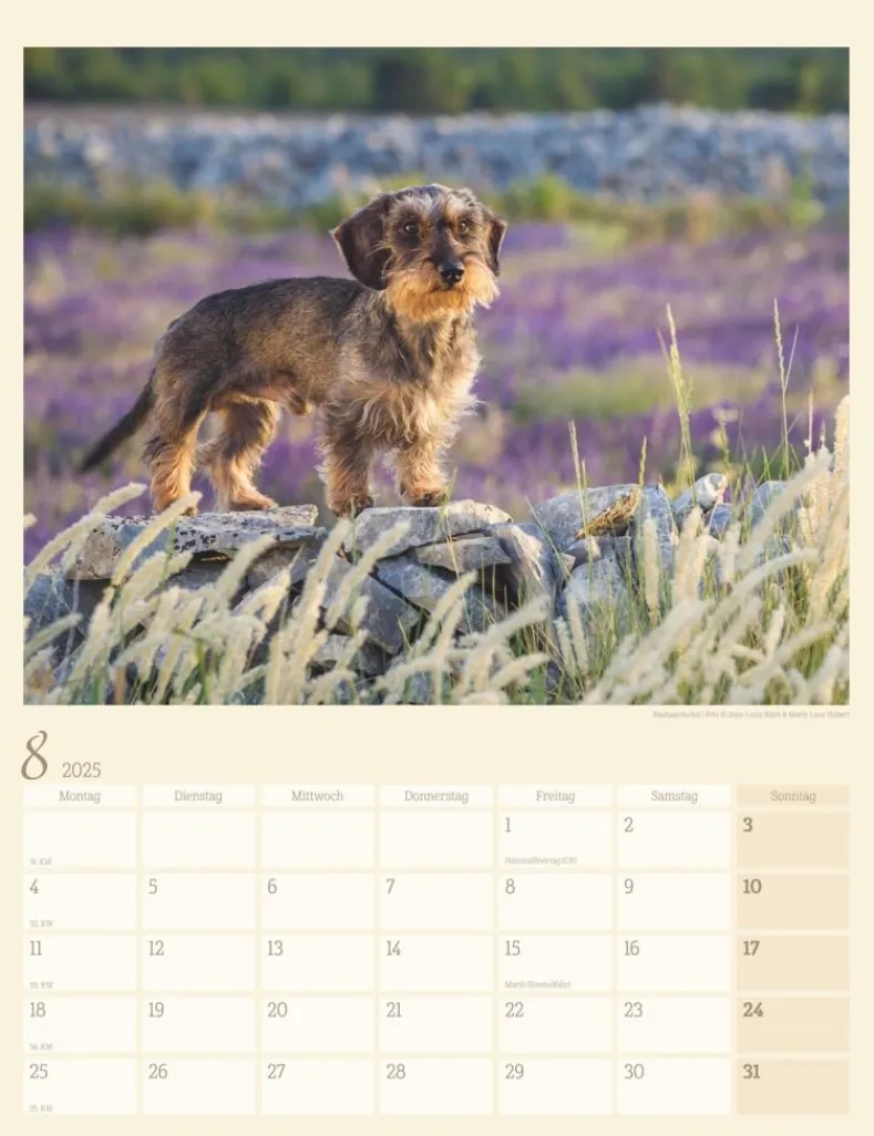 Weingarten Dackel Kalender 2025