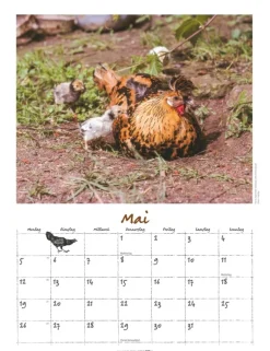 Weingarten Der Huhnerkalender 2025