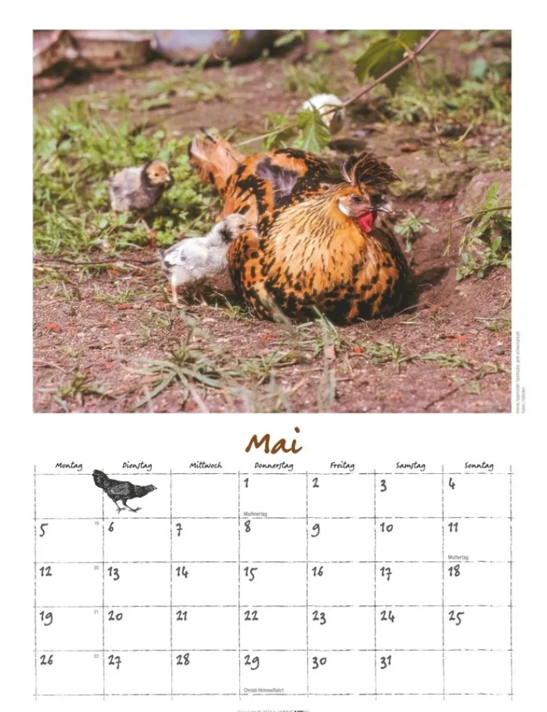 Weingarten Der Huhnerkalender 2025