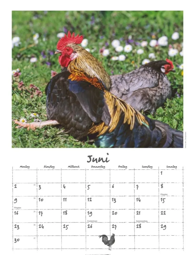Weingarten Der Huhnerkalender 2025