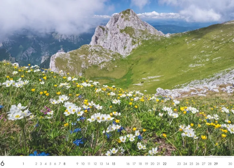 Weingarten Die Berge Kalender 2025