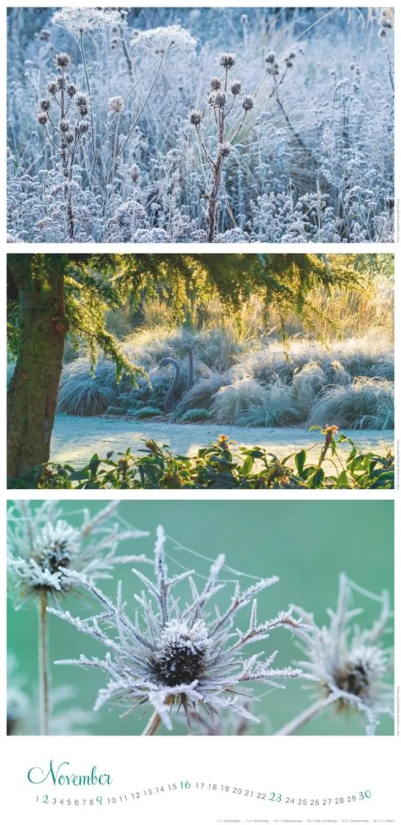 Weingarten Die Farben Der Garten Kalender 2025