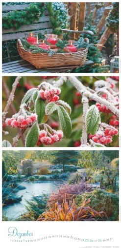 Weingarten Die Farben Der Garten Kalender 2025