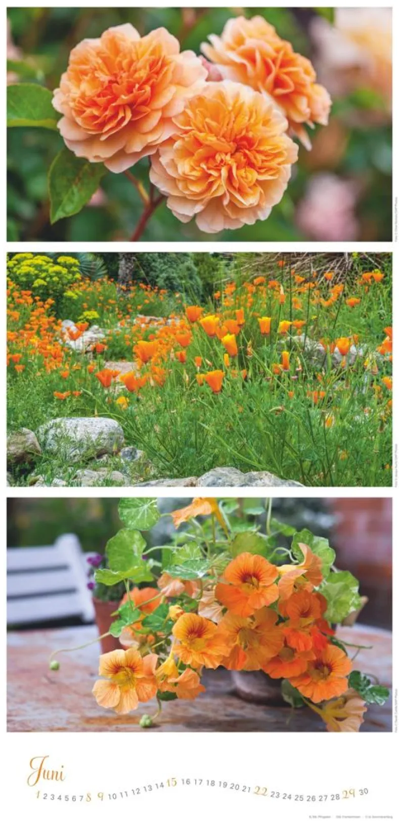 Weingarten Die Farben Der Garten Kalender 2025