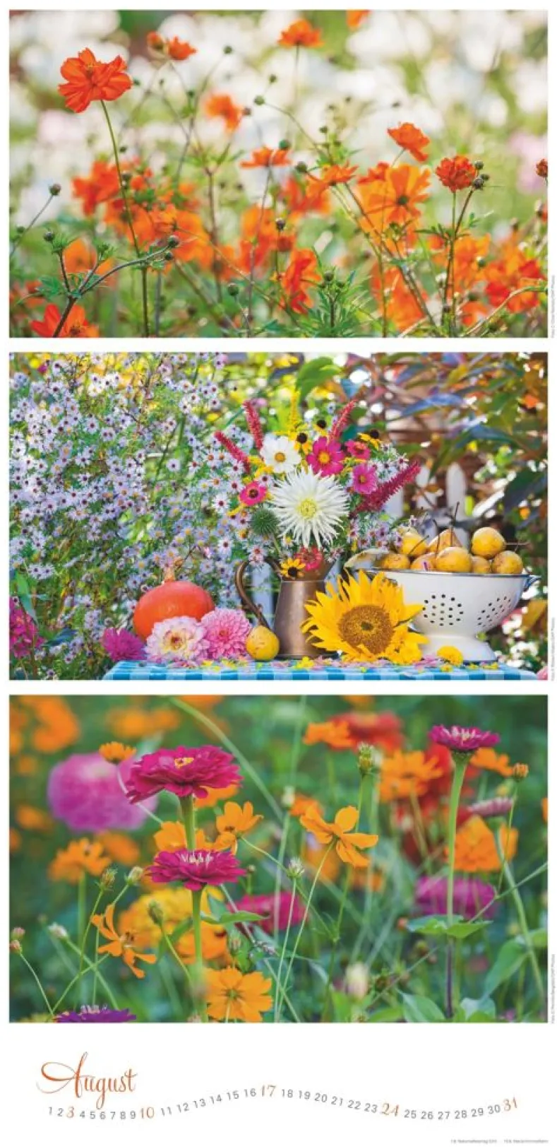 Weingarten Die Farben Der Garten Kalender 2025
