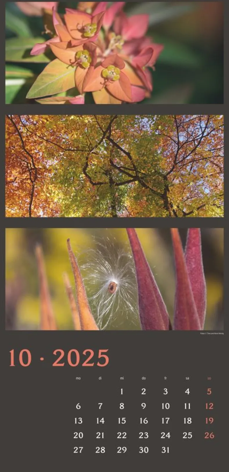 Weingarten Die Farben Der Natur Kalender 2025