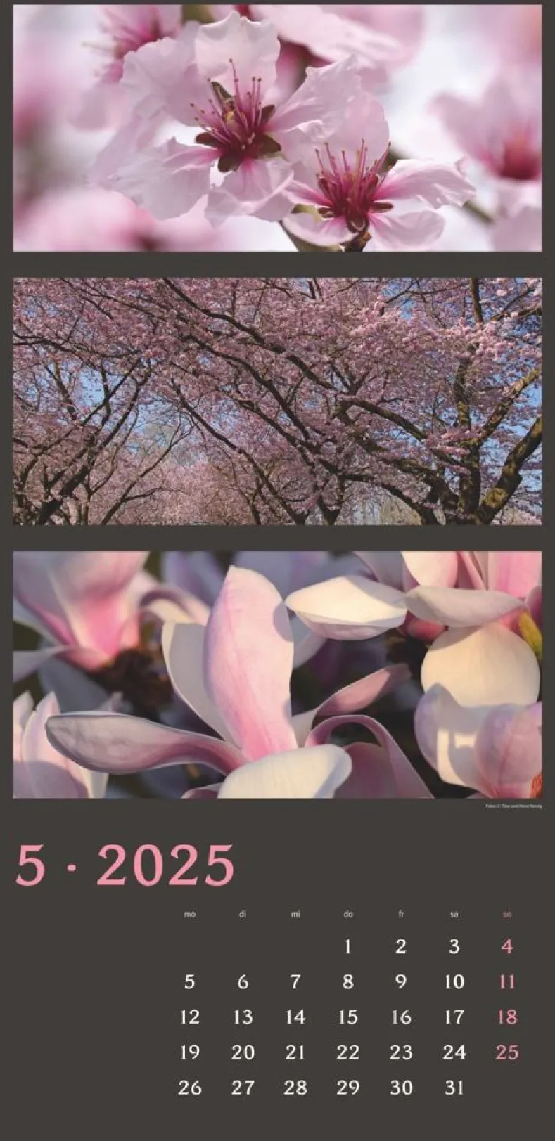 Weingarten Die Farben Der Natur Kalender 2025