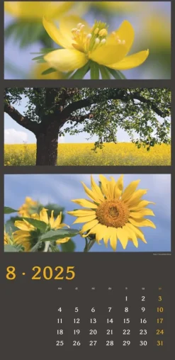 Weingarten Die Farben Der Natur Kalender 2025