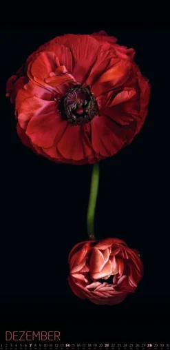 Weingarten Die Magie Der Blumen Kalender 2025
