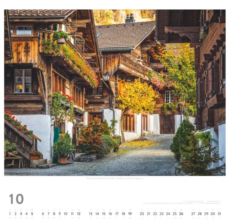 Weingarten Die Schweiz Kalender 2025