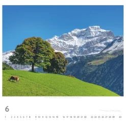 Weingarten Die Schweiz Kalender 2025