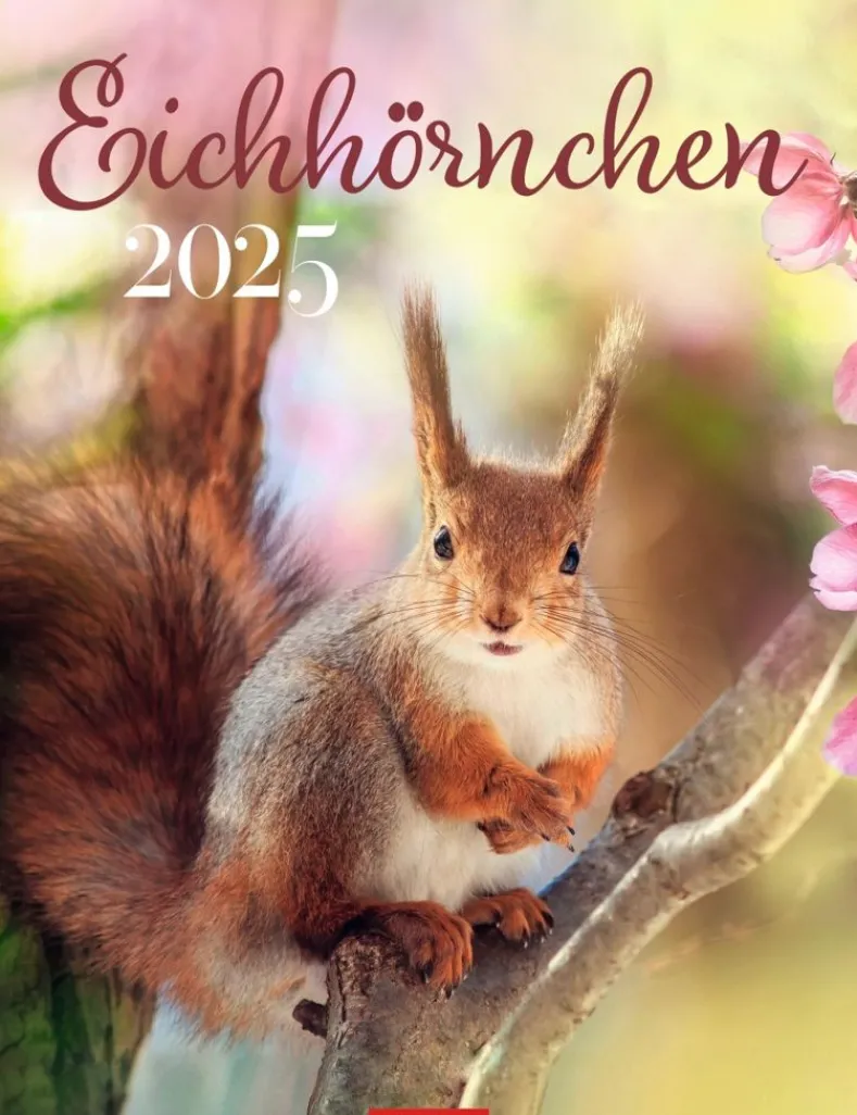 Weingarten Eichhornchen Kalender 2025