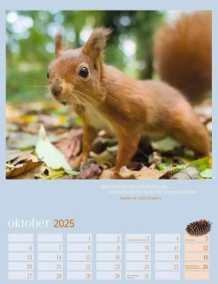 Weingarten Eichhornchen Kalender 2025