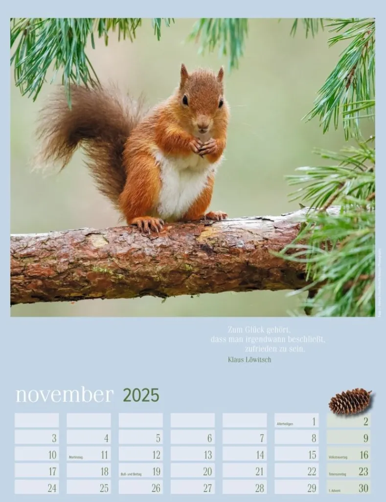 Weingarten Eichhornchen Kalender 2025