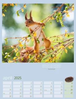 Weingarten Eichhornchen Kalender 2025