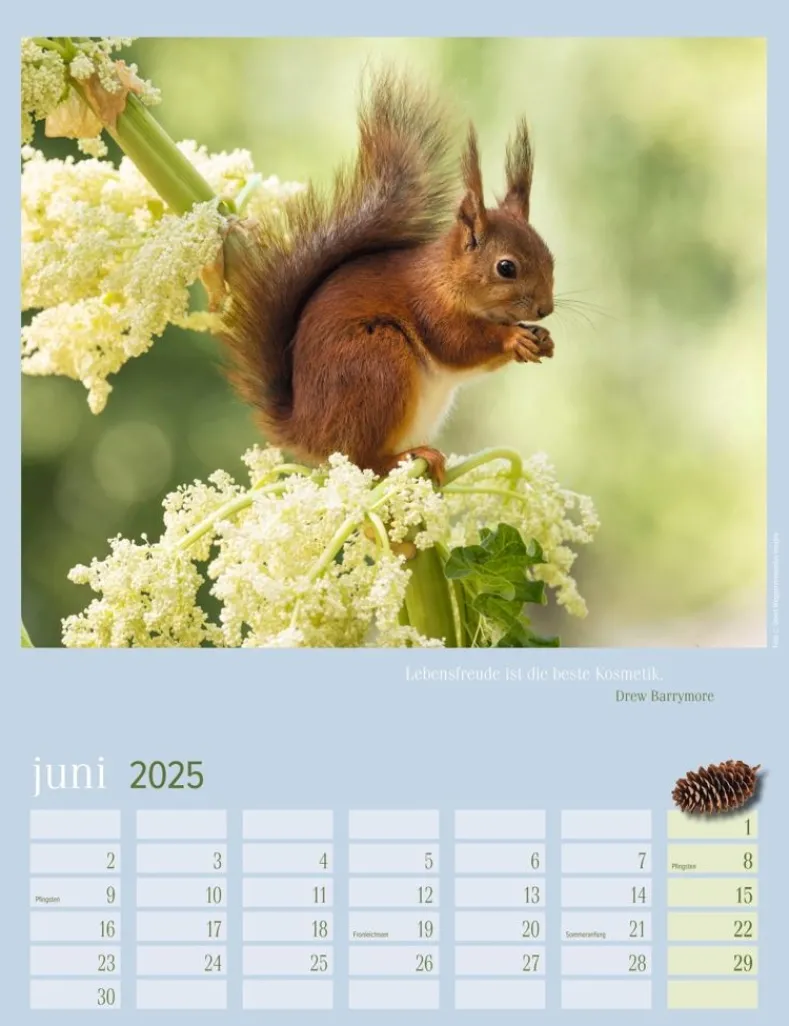 Weingarten Eichhornchen Kalender 2025