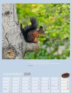 Weingarten Eichhornchen Kalender 2025