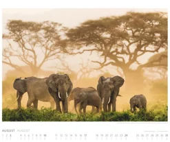 Weingarten Elefanten Kalender 2025