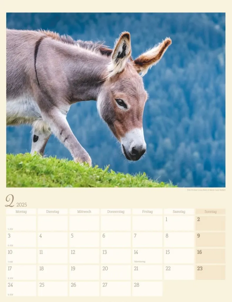 Weingarten Esel Kalender 2025