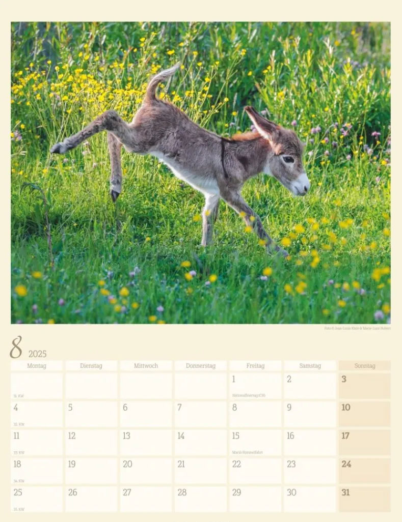 Weingarten Esel Kalender 2025