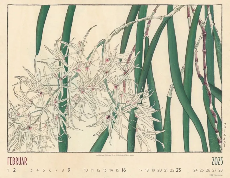 Weingarten Flower Art Kalender 2025